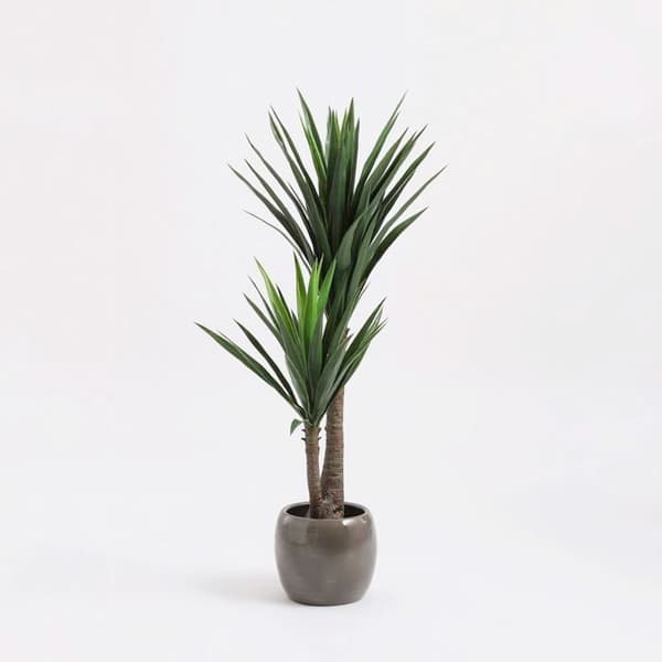 Glimmerdekorationer Yucca Konstgjorda växter - H120 x Ã˜70 cm