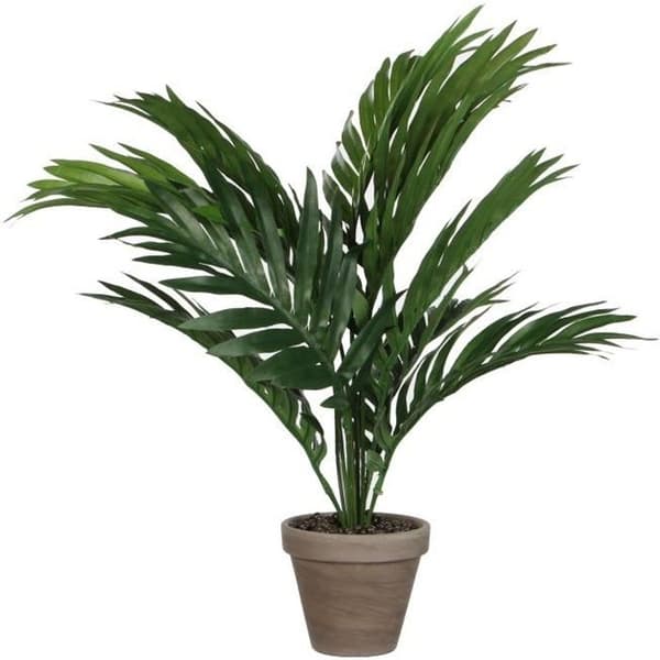 Konstgjord Areca palmväxt i Stan blomkruka - H45 x Ø60 cm - Grön - Glimmerdekorationer