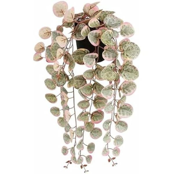 Dekorativ växt - MICA DECORATIONS - Ceropegia Woodii - Konstgjord - Att hänga - Flerfärgad