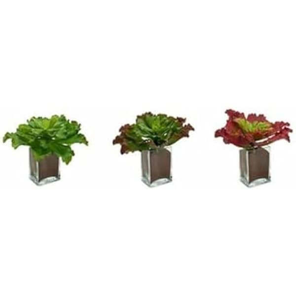 Dekorativa växter - IBERGARDEN - Set om 6 - Tvåfärgad - 31 x 24 x 31 cm - Inomhus