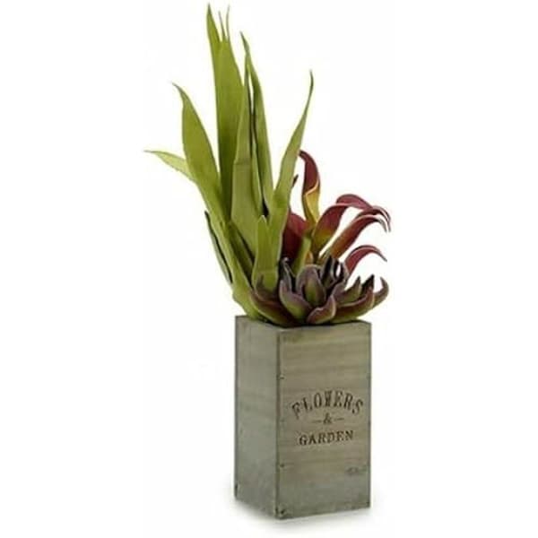 Dekorativ växt - IBERGARDEN - Blomsterträdgård - Brungrön - 10 x 50 x 10 cm - 4 enheter