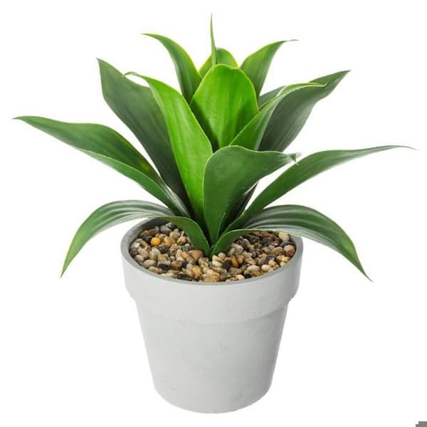 Konstplanta - ATMOSPHERA - Aloe vera - H34 cm - Grå - Inredning