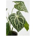 Miniatyrbild 2 av 2: Dekorativ växt - MICA DECORATIONS - Caladium - Ø 21 cm - Höjd 28 cm - Konstgjord