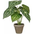 Miniatyrbild 1 av 2: Dekorativ växt - MICA DECORATIONS - Caladium - Ø 21 cm - Höjd 28 cm - Konstgjord