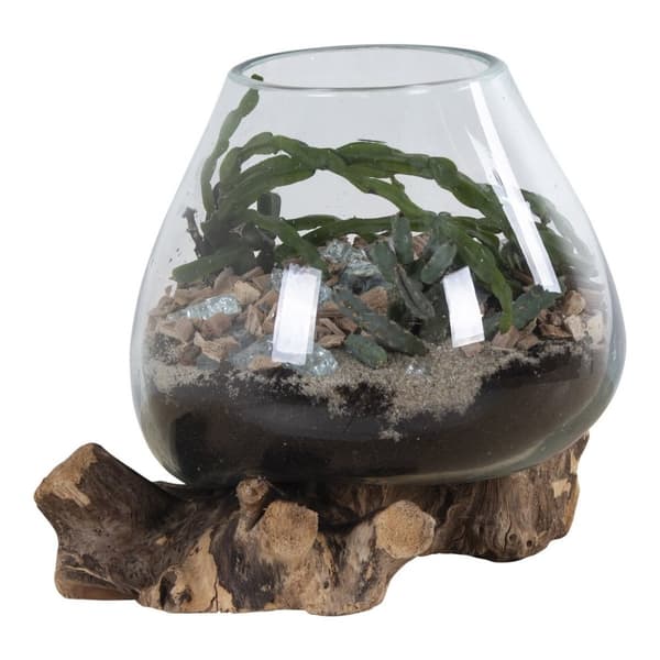 Rootz San Marino Waterdrop - Teakwood Glass Decor - Terarium Display - Moderni Design - 18x15-20x20cm