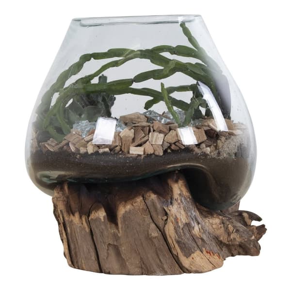Rootz San Marino Waterdrop - Teakwood Glass Decor - Terarium Display - Moderni Design - 18x15-20x20cm