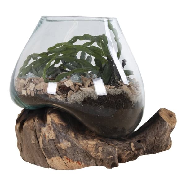 Rootz San Marino Waterdrop - Teakwood Glass Decor - Terarium Display - Moderni Design - 18x15-20x20cm