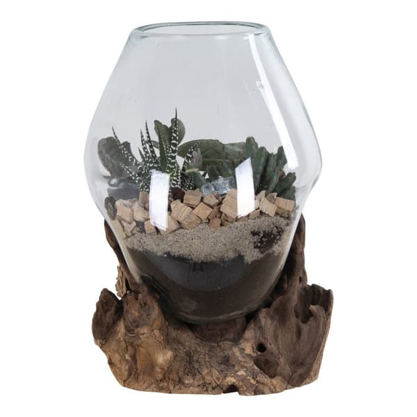 Rootz San Marino Waterdrop - Teakwood Glass Decor - Terarium Display - Moderni Design - 18x15-20x20cm