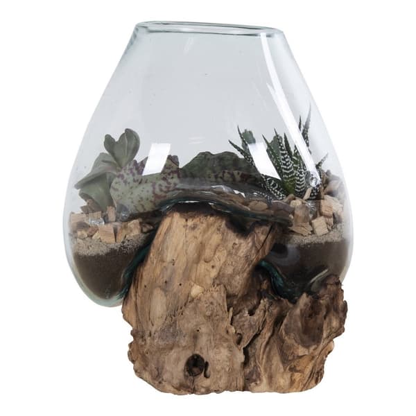 Rootz San Marino Waterdrop - Teakwood Glass Decor - Terarium Display - Moderni Design - 18x15-20x20cm