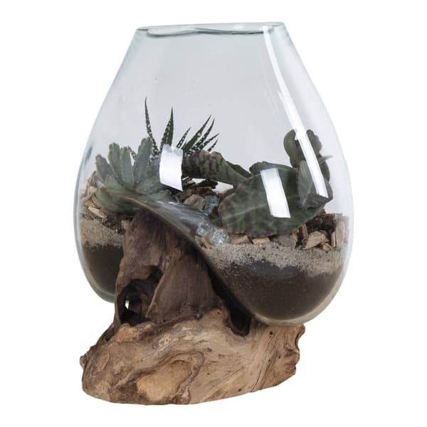 Rootz San Marino Waterdrop - Teakwood Glass Decor - Terarium Display - Moderni Design - 18x15-20x20cm