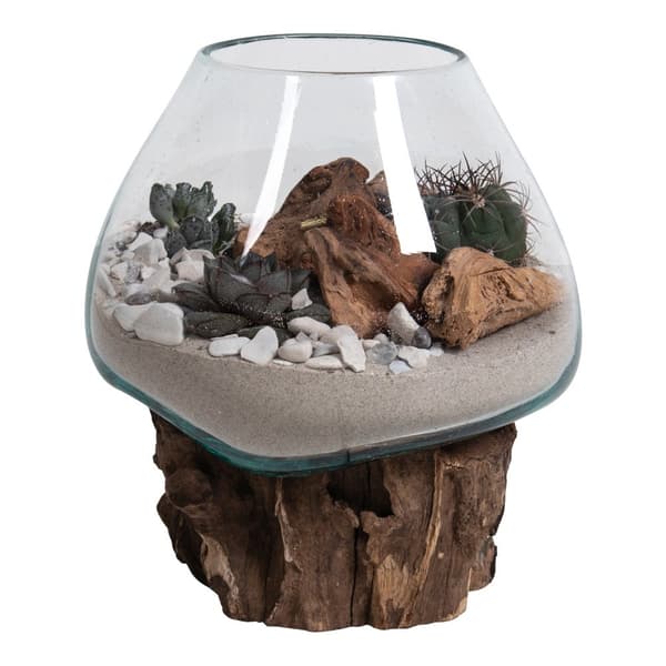 Rootz San Marino Waterdrop - Teakwood Glass Decor - Terarium Display - Moderni Design - 18x15-20x20cm