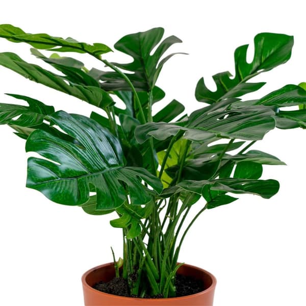 Rootz Artificial Montera Plant - Faux Greenery - Imitation Lövverk - Skönhet med lågt underhåll - 40x40x45 cm