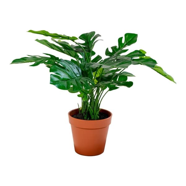 Rootz Artificial Montera Plant - Faux Greenery - Imitation Lövverk - Skönhet med lågt underhåll - 40x40x45 cm