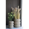 Miniatyrbild 4 av 4: Rootz Artificial Skimmia Tree - Faux Plant - Botanical Decor - Inget underhåll - 75 cm x 40 cm x 40 cm
