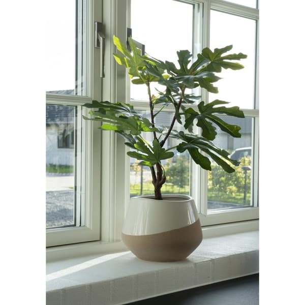 Rootz Artificial Fig Tree - Faux Plant - Dekorativ grönska - Inget underhåll behövs - 60 cm x 40 cm x 40 cm