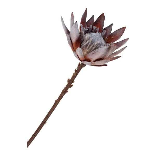 Rootz King Protea Bouquet - Artificial Flowers - Faux Rose Mix - 75 cm höjd - Plast - Fantastisk blommig inredning
