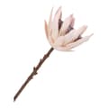 Pikkukuva 4 / 5: Rootz King Protea Bouquet - keinotekoiset kukat - Faux Blooms - Pitkäaikainen sisustus - 65 cm
