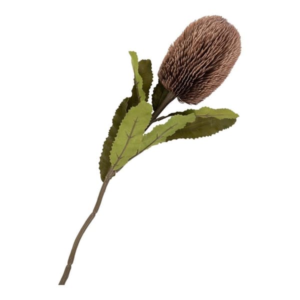 Rootz King Protea Bouquet - keinotekoiset kukat - Faux Blooms - Pitkäaikainen sisustus - 65 cm