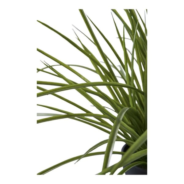 Rootz Artificial Plant - Fake Greenery - Plastic Decor - Lush Ambiance - 51cm x 45 cm x 51 cm