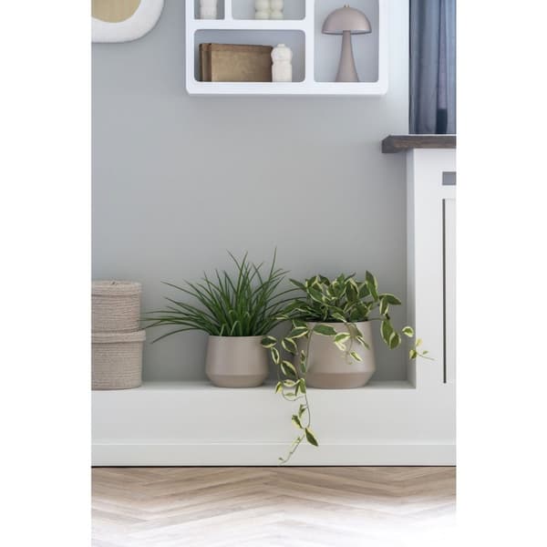 Rootz Artificial Plant - Fake Greenery - Plastic Decor - Lush Ambiance - 51cm x 45 cm x 51 cm