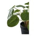 Miniatyrbild 3 av 5: Rootz Artificial Plant - Faux Greenery - Fake Plant - låg underhållsdekor - 28 cm x 28 cm x 28 cm