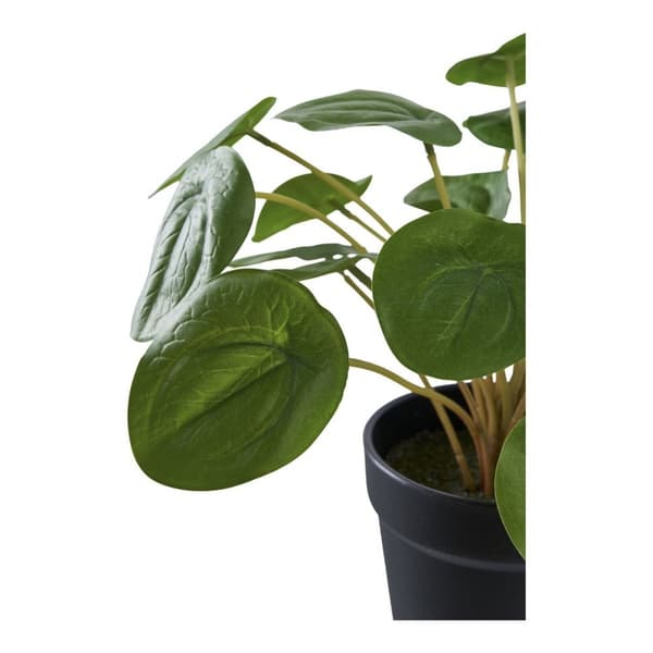 Rootz Artificial Plant - Faux Greenery - Fake Plant - låg underhållsdekor - 28 cm x 28 cm x 28 cm