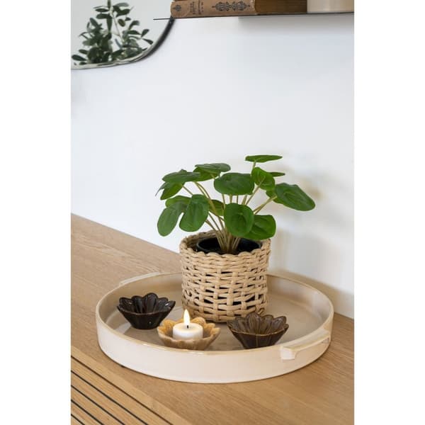 Rootz Artificial Plant - Faux Greenery - Fake Plant - låg underhållsdekor - 28 cm x 28 cm x 28 cm