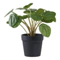 Miniatyrbild 1 av 5: Rootz Artificial Plant - Faux Greenery - Fake Plant - låg underhållsdekor - 28 cm x 28 cm x 28 cm