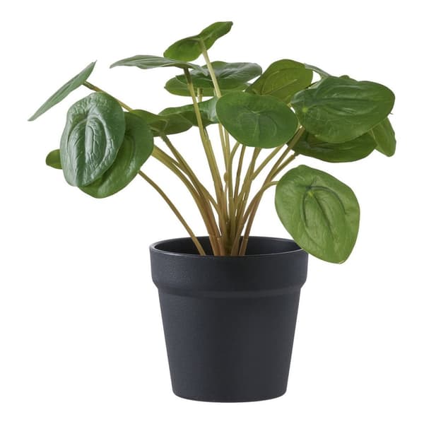 Rootz Artificial Plant - Faux Greenery - Fake Plant - låg underhållsdekor - 28 cm x 28 cm x 28 cm