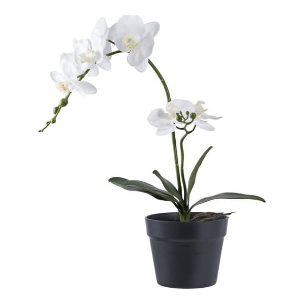 Rootz Artificial Plant - Faux Greenery - Decorative Plant - Vibrant Home Decor - 47cm x 21cm x 34 cm
