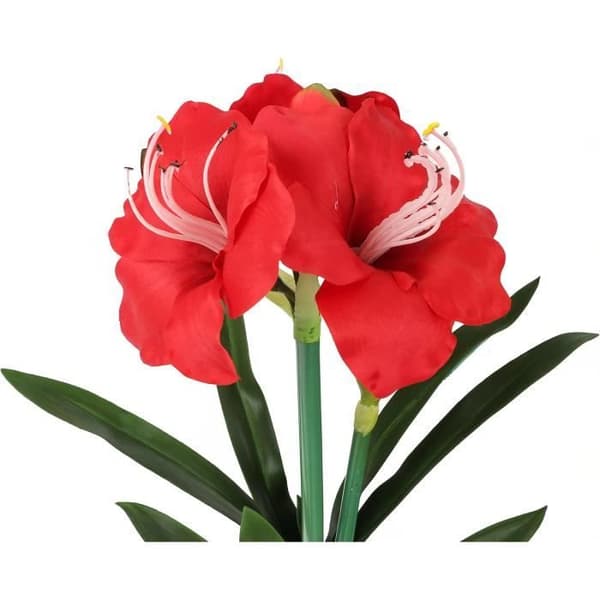 Closer To Nature FT033RD - Röd konstgjord Amaryllis 55 cm