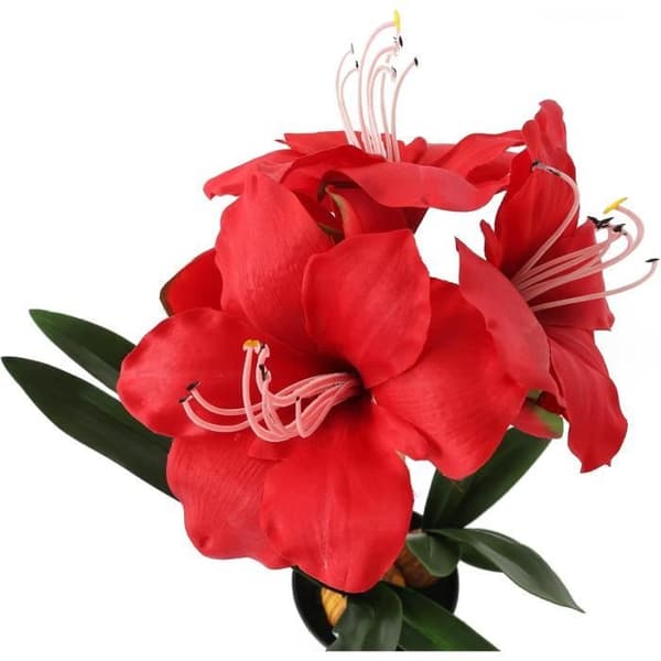 Closer To Nature FT033RD - Röd konstgjord Amaryllis 55 cm