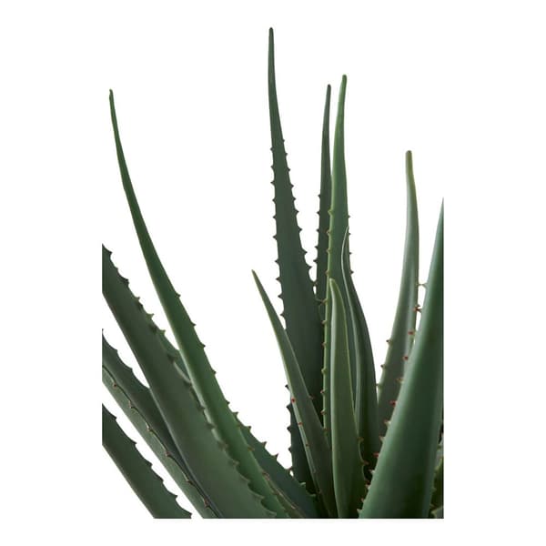 Aloe Vera kunst tre høyde 51 cm grønn.