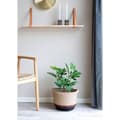 Miniatyrbilde 6 av 6: Figentræ kunstig plante H60 cm grønn.
