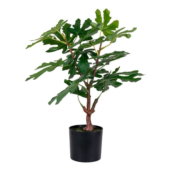 Figentræ kunstig plante H60 cm grønn.