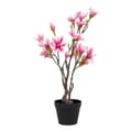 Miniatyrbilde 1 av 4: Magnoliatræ kunstig plante H74 cm grønn, rosa.