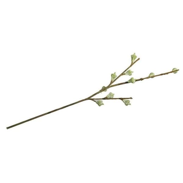 Eukalyptusfruktgren, 40cm