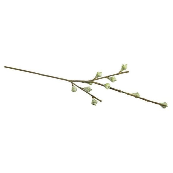Eukalyptusfruktgren, 40cm
