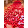 Miniatyrbild 4 av 4: TD® Konstgjorda rosenblad Firande Evenemang Bröllop Sidenmaterial Vackert behaglig Röd Färg Stor festdekoration
