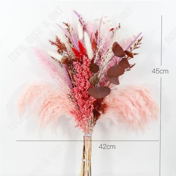 TD® Torkade blommor i naturliga primära färger Kaninsvansgräs Rosa Mix Heminredning