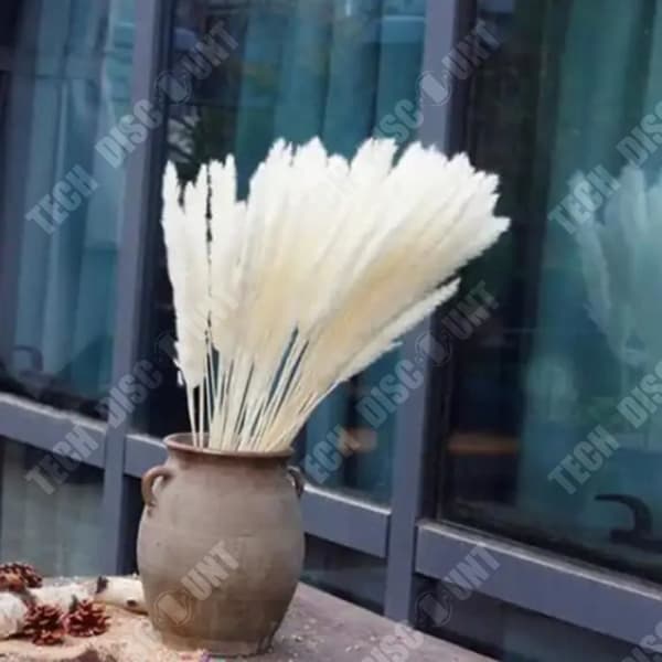 TD® naturliga torkade blommor kanin svans gräs vit heminredning Handgjorda paket med 10
