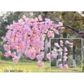 Miniatyrbild 3 av 4: TD® Konstgjord körsbärsrosa trädkruka Bröllopsblomma Torr plastgren utomhus heminredning Födelsedag japansk växt