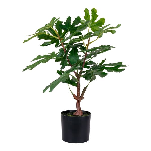 Plante, Kunstig Figen træ, 40x40x60 cm, Grøn