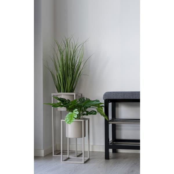 Plante, Poa-græs, 30x68 cm, Grøn