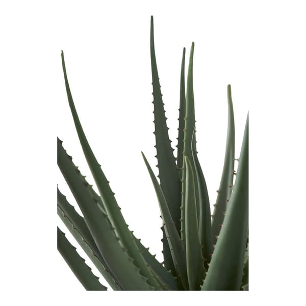 Kunstig plante, Aloe Vera, 30,5x51 cm, Grøn