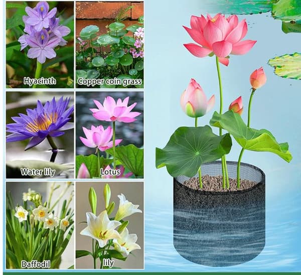 INF Mesh Aquatic Plant Pot - Sett med 4 for Vannhager Square