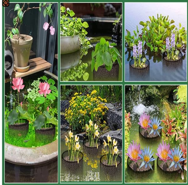INF Mesh Aquatic Plant Pot - Sett med 4 for Vannhager Square