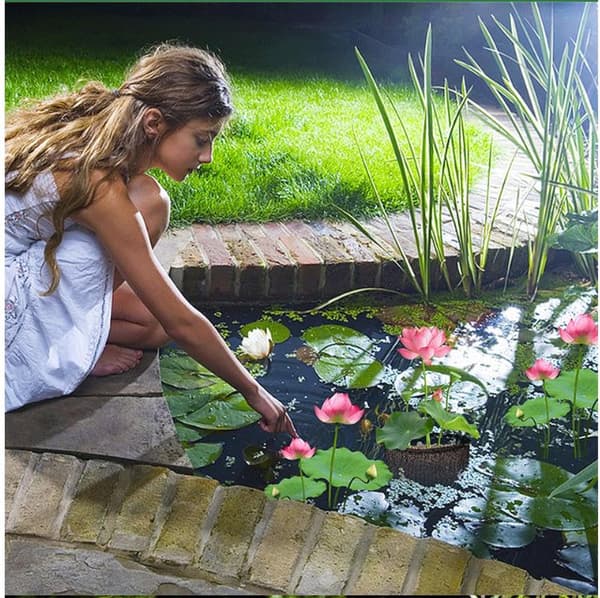 INF Mesh Aquatic Plant Pot - Sett med 4 for Vannhager Square