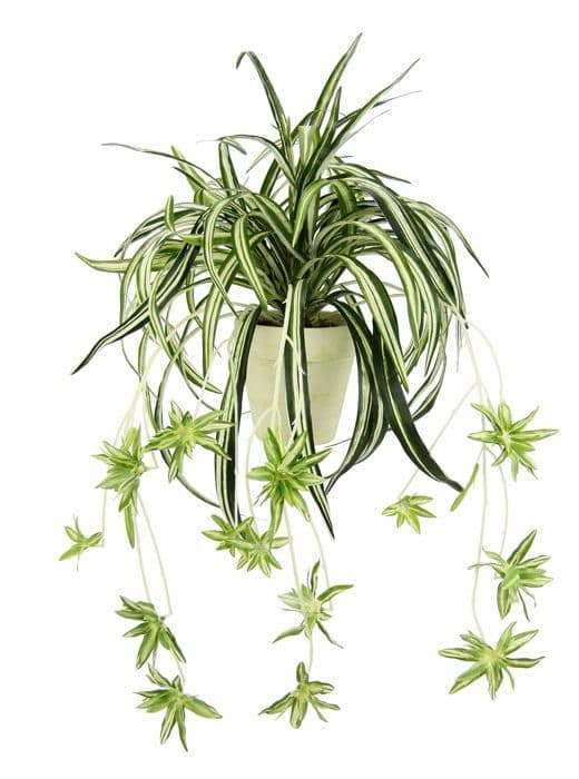 Fleur-plante artificiell - torkad blomma Flair flower - 087804GNW