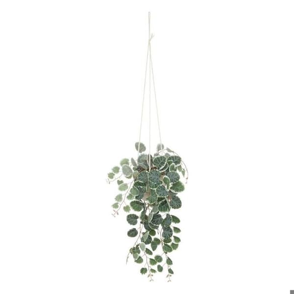 Hängande konstgjord växt "Lour" - cementkruka - H80 cm - Vit - Atmosphera inredningsdesigner
